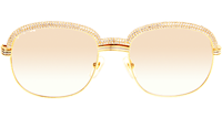CT 1116679 Diamond Silver Diamond Stainless Steel Sunglasses In Gold Brown