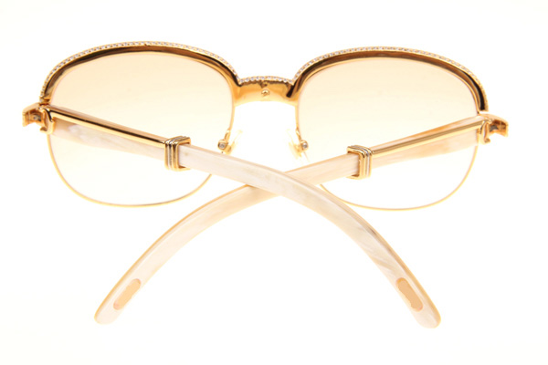 CT 1116679 Diamond White Buffalo Sunglasses In Gold Brown