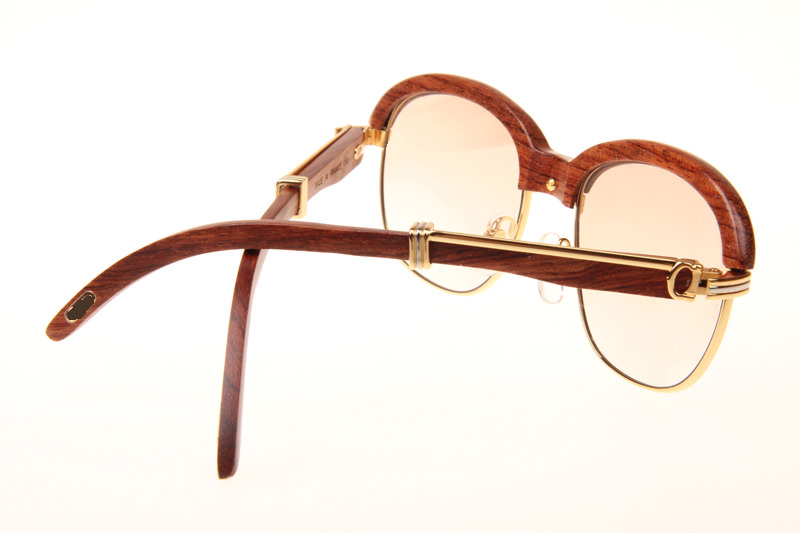 CT 1116679 Sunglasses In Gold Brown Gradient