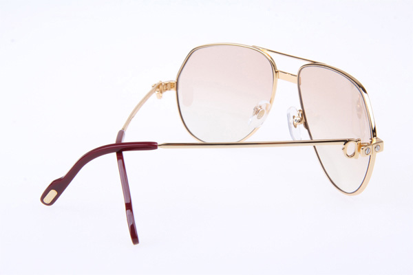 CT 1324912 Sunglasses In Gold Brown