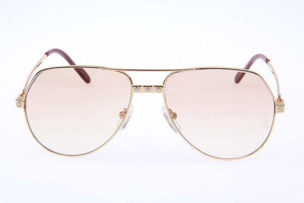 CT 1324912 Sunglasses In Gold Brown