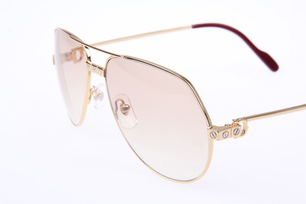 CT 1324912 Sunglasses In Gold Brown