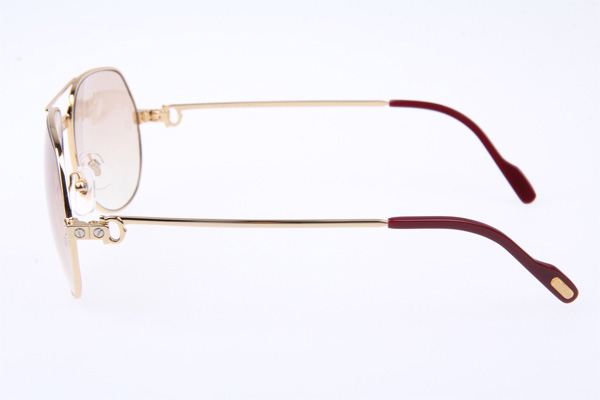 CT 1324912 Sunglasses In Gold Brown