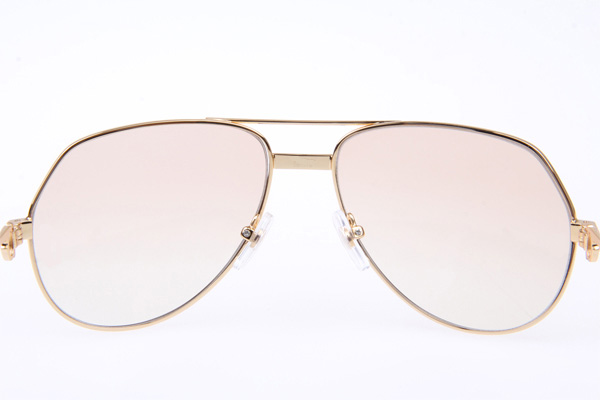 CT 1324912 Sunglasses In Gold Brown