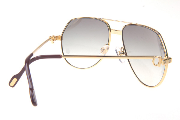 CT 1324912 Sunglasses In Gold Grey