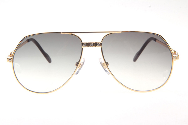 CT 1324912 Sunglasses In Gold Grey