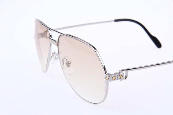 CT 1324912 Sunglasses In Silver Brown