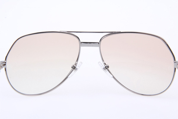 CT 1324912 Sunglasses In Silver Brown