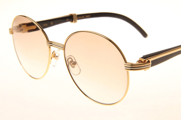 CT 1990-0692 Black Buffalo Sunglasses In Gold Brown