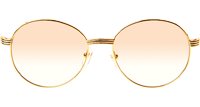 CT 1990-0692 Gold Stainless Steel Sunglasses In Gold Brown