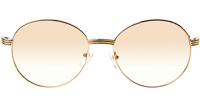 CT 1990-0692 Gold Stainless Steel Sunglasses In Silver Brown