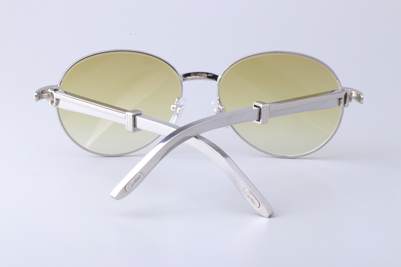 CT 1990-0692 Stainless Steel Sunglasses Silver Gradient Green