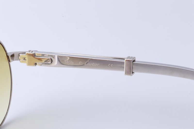 CT 1990-0692 Stainless Steel Sunglasses Silver Gradient Green