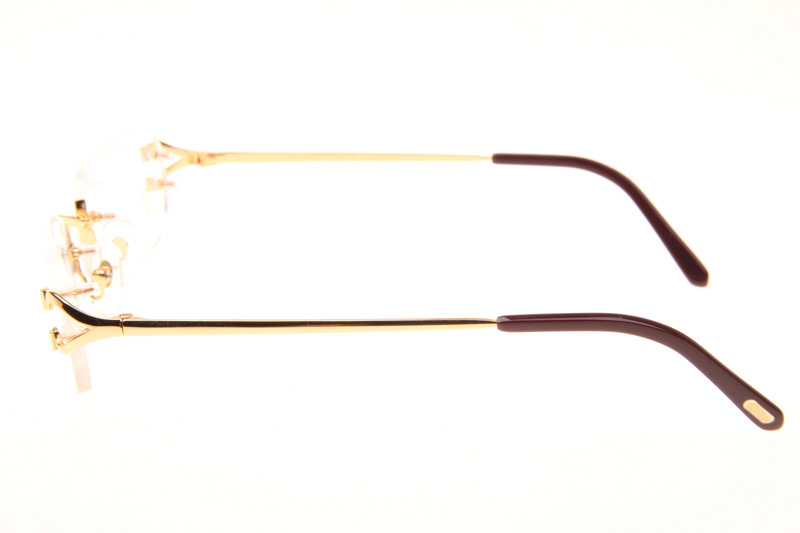 CT 2820829 Eyeglasses In Gold