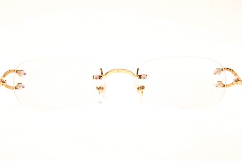 CT 2820829 Eyeglasses In Gold