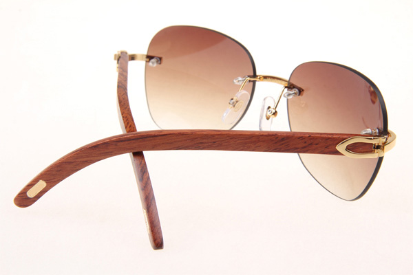 CT 3524012 Aviator Lens Wood Sunglasses In Gold Brown