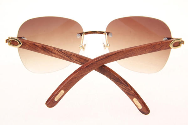 CT 3524012 Aviator Lens Wood Sunglasses In Gold Brown