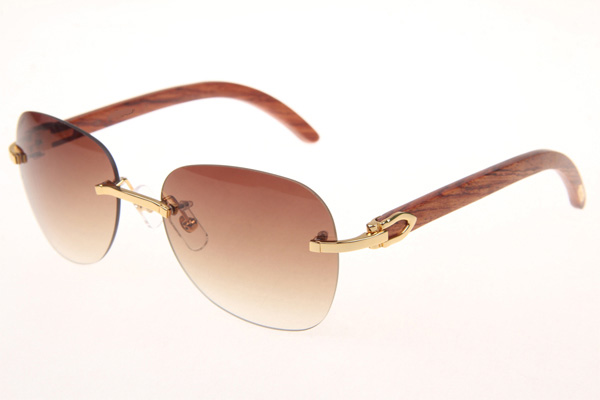 CT 3524012 Aviator Lens Wood Sunglasses In Gold Brown