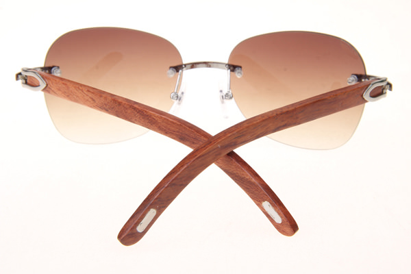 CT 3524012 Aviator Lens Wood Sunglasses In Silver Brown