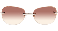 CT 3524012 Aviator Lens Wood Sunglasses In Silver Brown