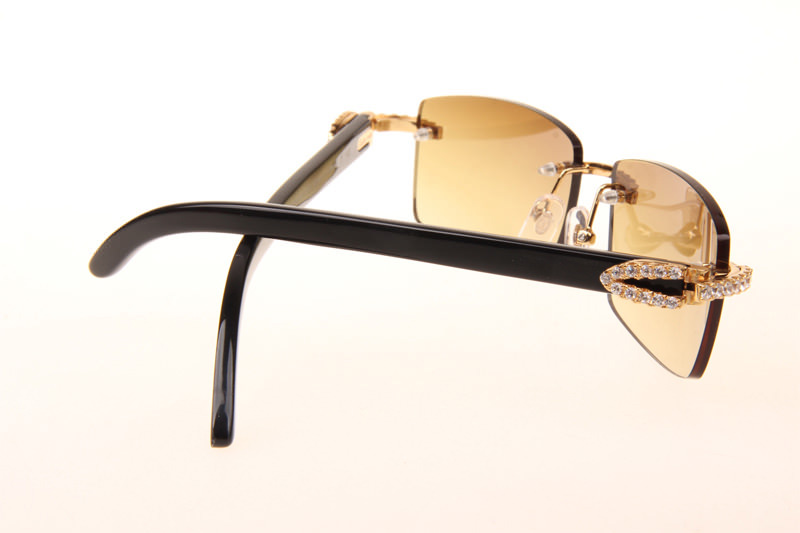 CT 3524012 Big Diamond Black Buffalo Sunglasses In Gold Brown