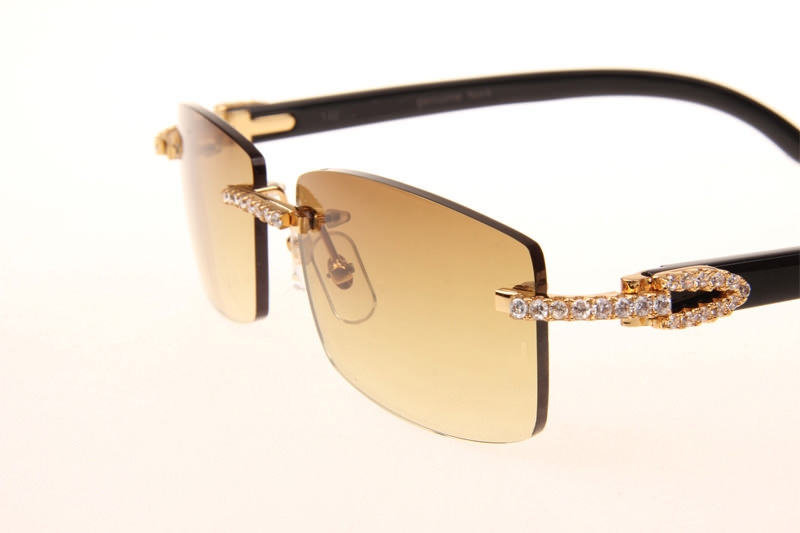 CT 3524012 Big Diamond Black Buffalo Sunglasses In Gold Brown