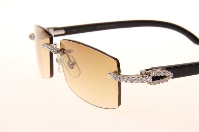 CT 3524012 Big Diamond Black Buffalo Sunglasses In Silver Brown