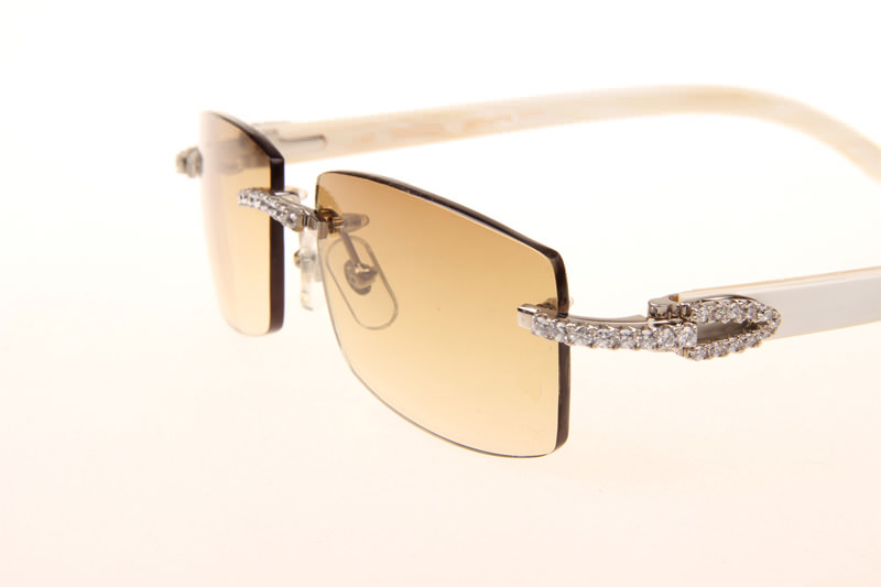 CT 3524012 Big Diamond White Buffalo Sunglasses In Silver Brown