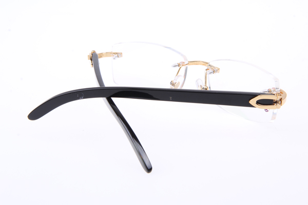 CT 3524012 Black Buffalo Eyeglasses In Gold