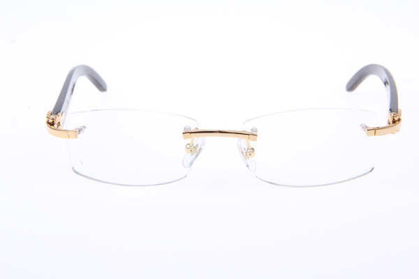 CT 3524012 Black Buffalo Eyeglasses In Gold