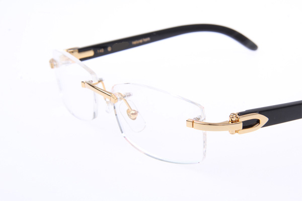 CT 3524012 Black Buffalo Eyeglasses In Gold