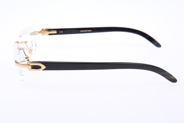 CT 3524012 Black Buffalo Eyeglasses In Gold