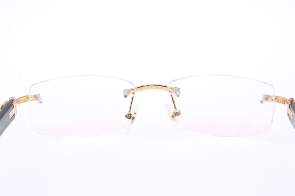 CT 3524012 Black Buffalo Eyeglasses In Gold