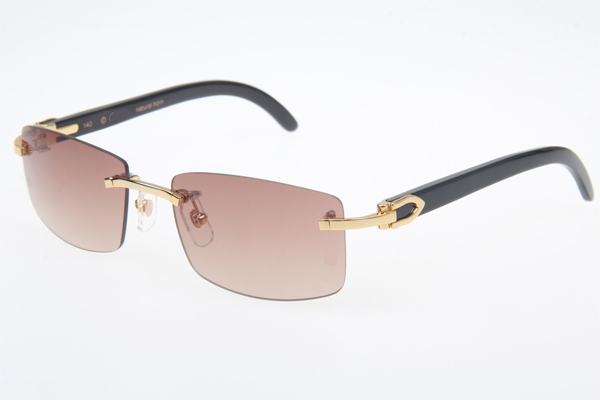 CT 3524012 Black Buffalo Sunglasses In Gold Brown