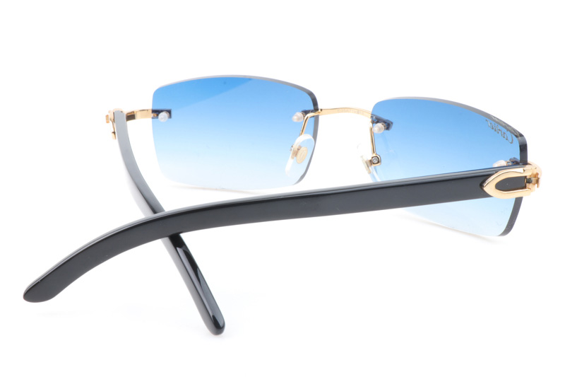 CT 3524012 Black Buffalo Sunglasses In Gold Gradient Blue