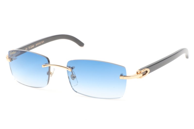 CT 3524012 Black Buffalo Sunglasses In Gold Gradient Blue