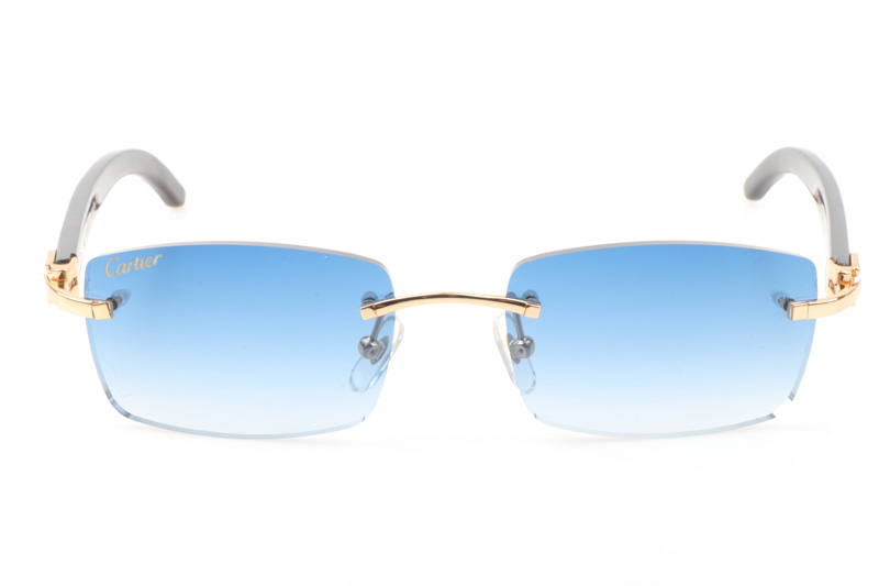 CT 3524012 Black Buffalo Sunglasses In Gold Gradient Blue