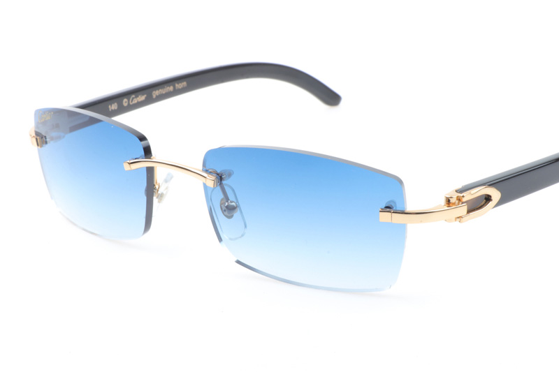 CT 3524012 Black Buffalo Sunglasses In Gold Gradient Blue