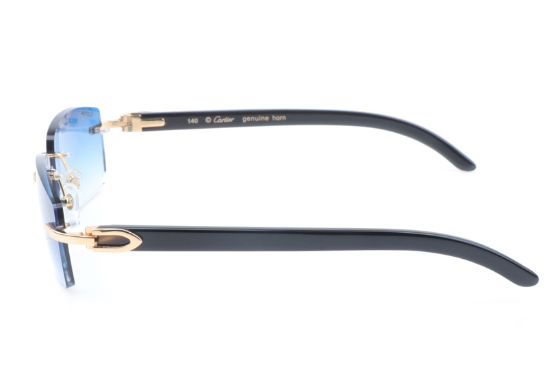 CT 3524012 Black Buffalo Sunglasses In Gold Gradient Blue