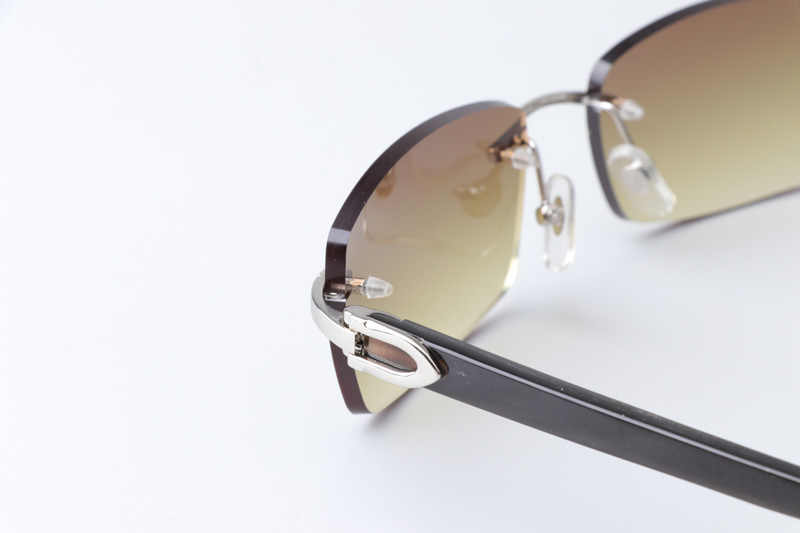 CT 3524012 Black Buffalo Sunglasses In Silver Brown