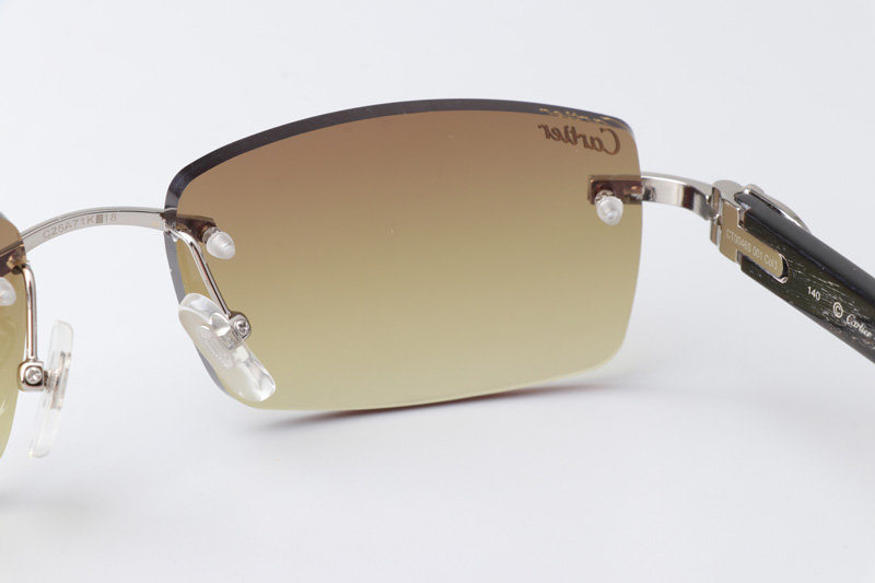 CT 3524012 Black Buffalo Sunglasses In Silver Brown