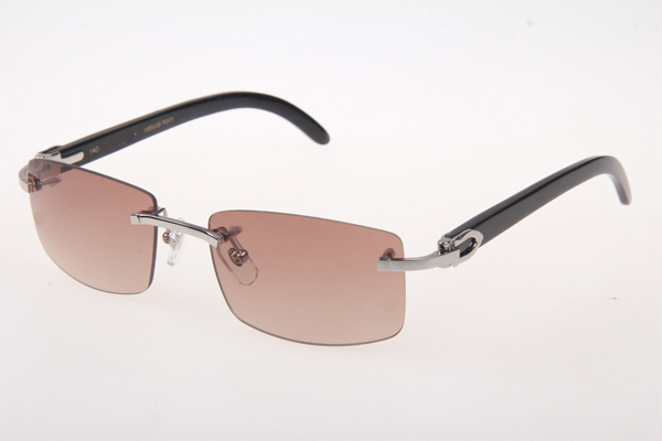 CT 3524012 Black Buffalo Sunglasses In Silver Brown