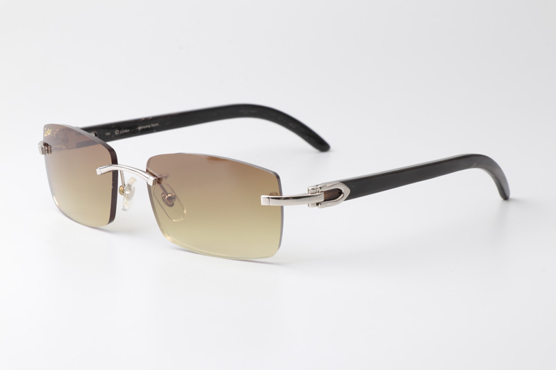 CT 3524012 Black Buffalo Sunglasses In Silver Brown