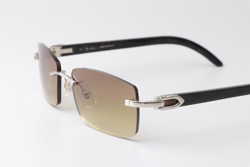 CT 3524012 Black Buffalo Sunglasses In Silver Brown