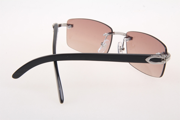 CT 3524012 Black Buffalo Sunglasses In Silver Brown