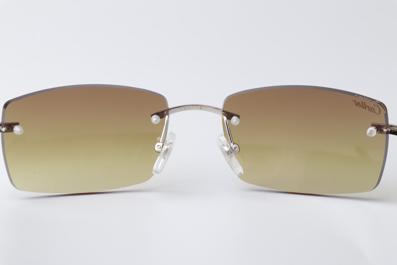 CT 3524012 Black Buffalo Sunglasses In Silver Brown