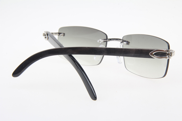 CT 3524012 Black Buffalo Sunglasses In Silver Grey