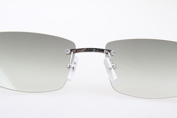 CT 3524012 Black Buffalo Sunglasses In Silver Grey