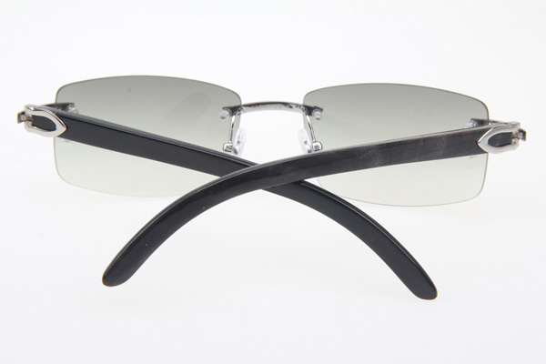 CT 3524012 Black Buffalo Sunglasses In Silver Grey