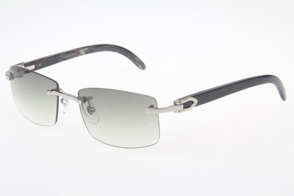 CT 3524012 Black Buffalo Sunglasses In Silver Grey